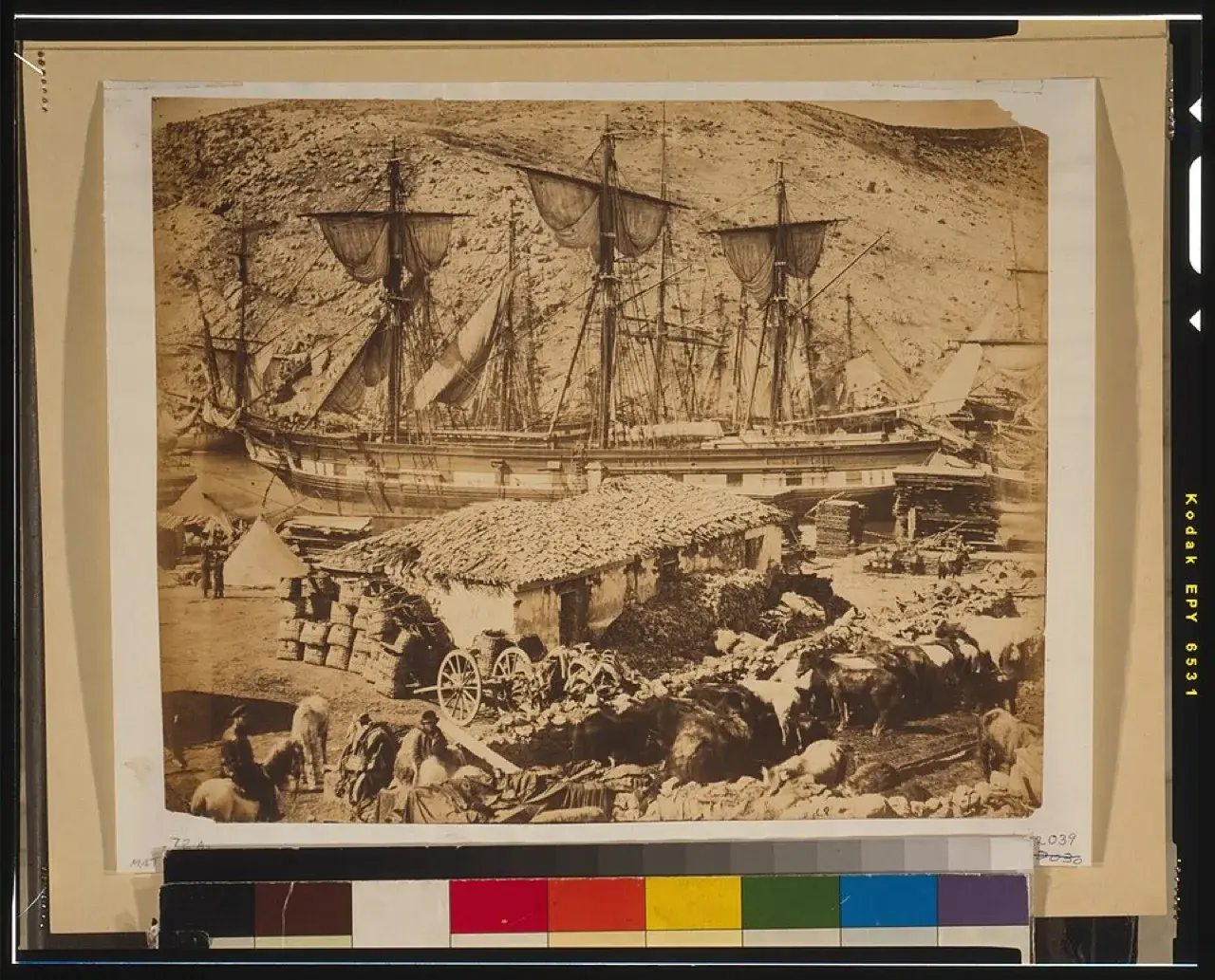 Балаклавская бухта, Крымская война, 1855